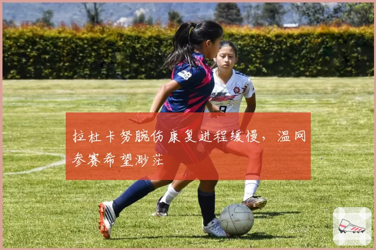 拉杜卡努腕伤康复进程缓慢，温网参赛希望渺茫